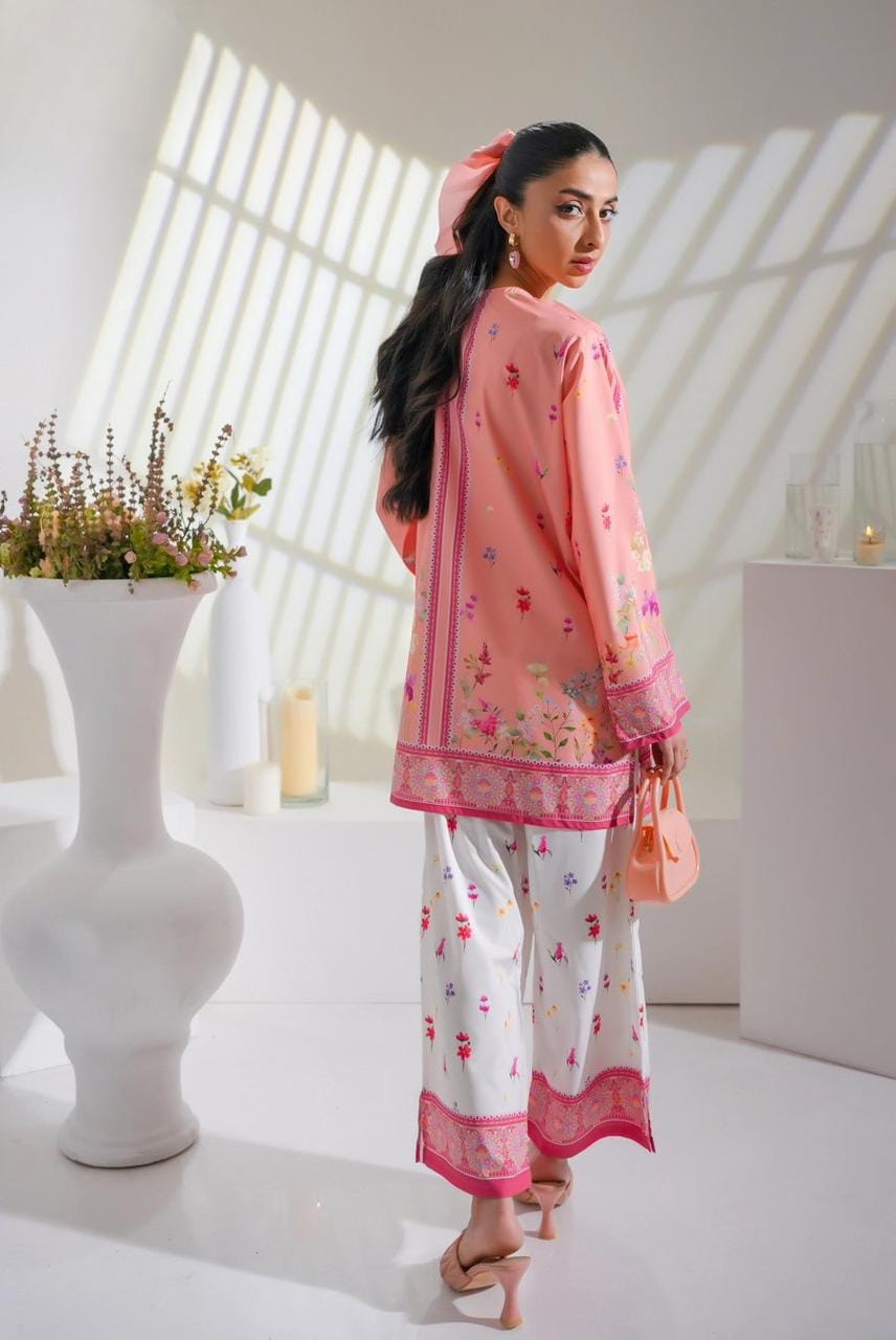 Dilruba Chic 2-Piece Co-ord Set