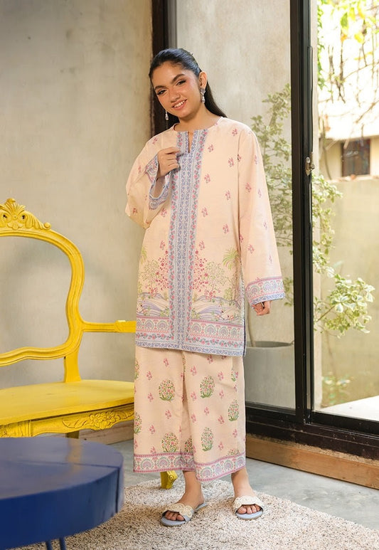 Zeb-o-Noor 2-Piece Co-ord Set