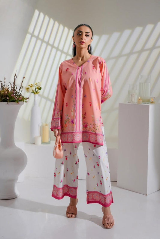Dilruba Chic 2-Piece Co-ord Set