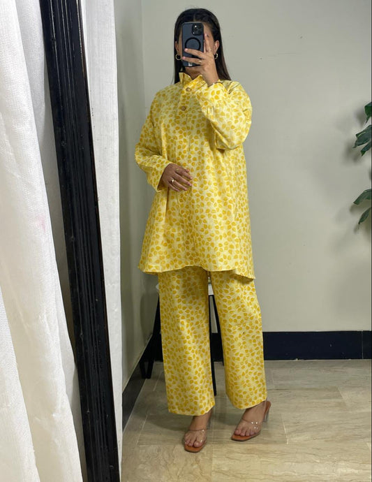 Roshni 2-Piece Co-ord Set