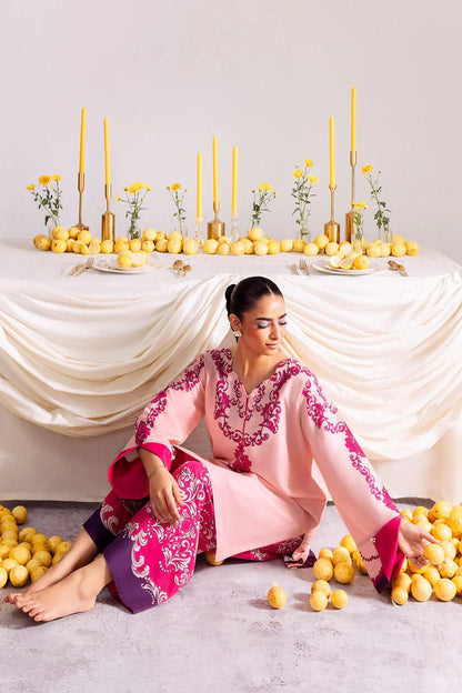 Noor-e-Haseen 2-Piece Co-ord Set